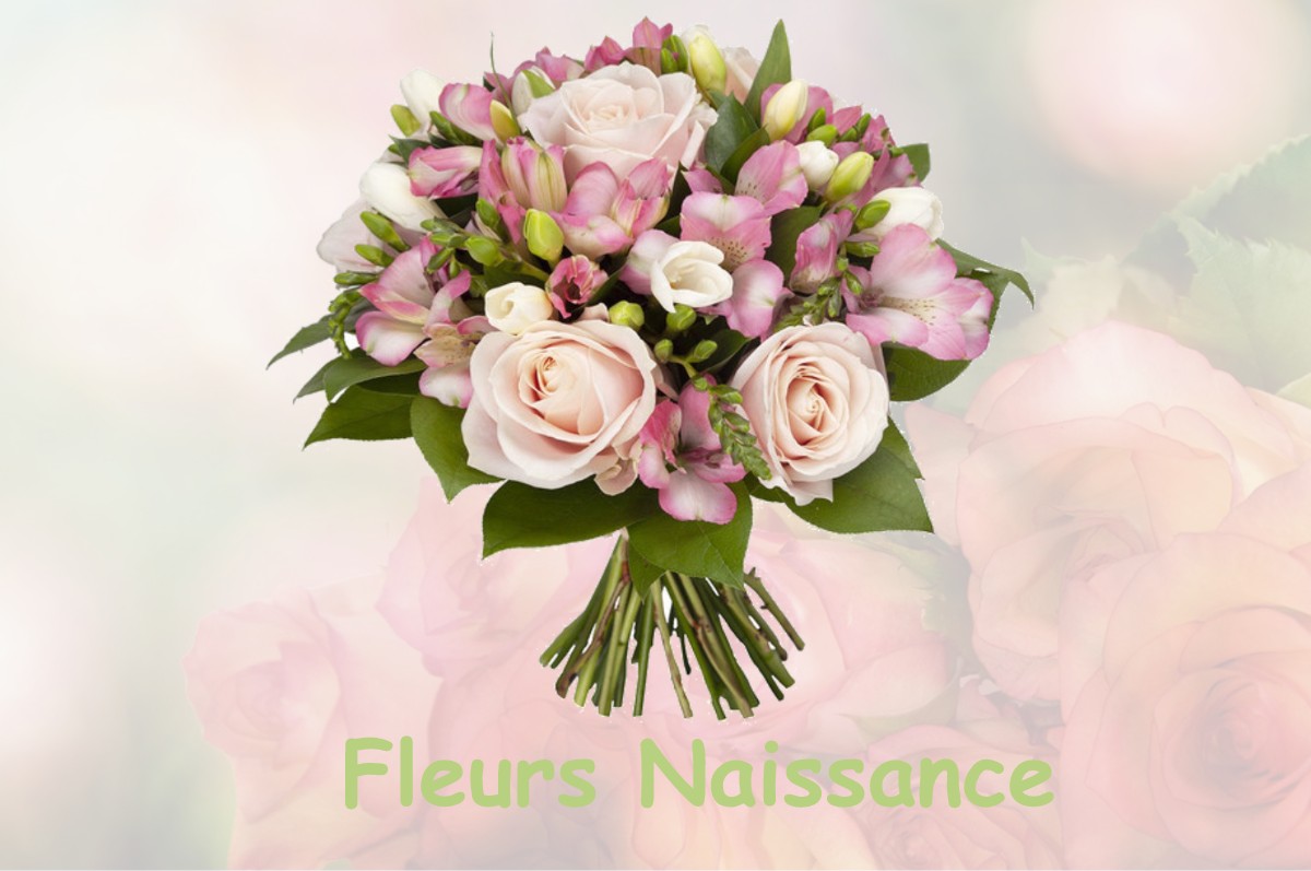 fleurs naissance CAZAUX-FRECHET-ANERAN-CAMORS
